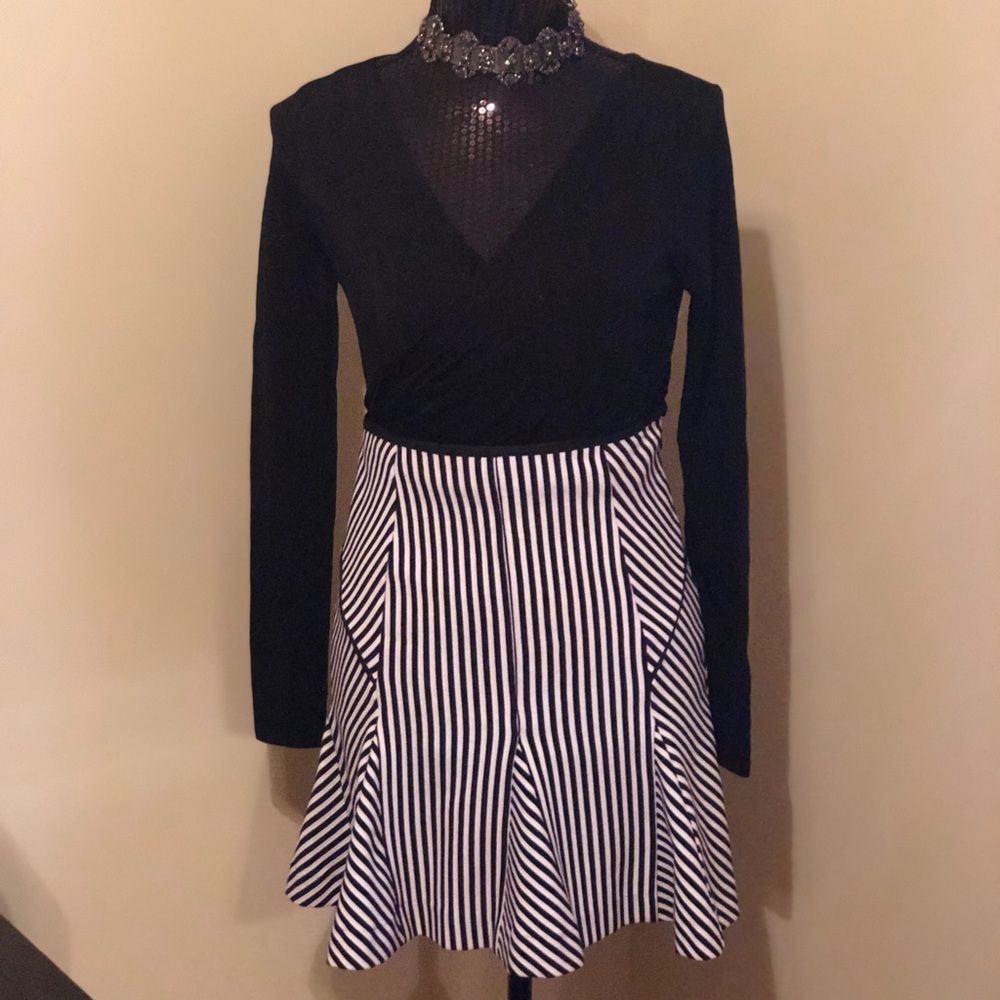 Bebe V-neck Shirt with Banana Republic Skirt (Set)